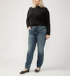 Elyse Mid Rise Straight Leg Jeans Plus size, , hi-res image number 2