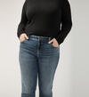 Elyse Mid Rise Straight Leg Jeans Plus size, , hi-res image number 3