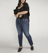 Elyse Mid Rise Straight Leg Jeans Plus Size, , hi-res image number 3