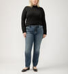 Elyse Mid Rise Straight Leg Jeans Plus size, , hi-res image number 0