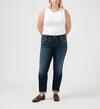 Boyfriend Mid Rise Slim Leg Jeans Plus Size, , hi-res image number 0