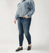 Elyse Mid Rise Skinny Leg Jeans Plus Size, , hi-res image number 2